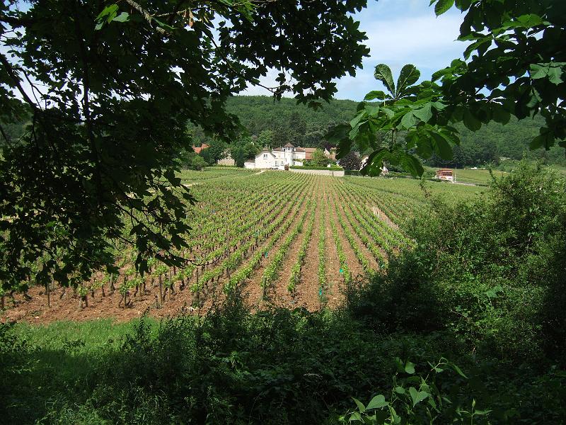 2010-05- (107).JPG